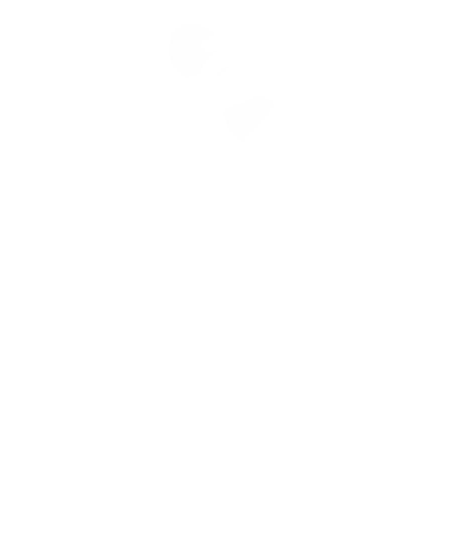 Women With Bottle of Water on Transparent Background Silhouette - Download Free Stock Images Pikwizard.com