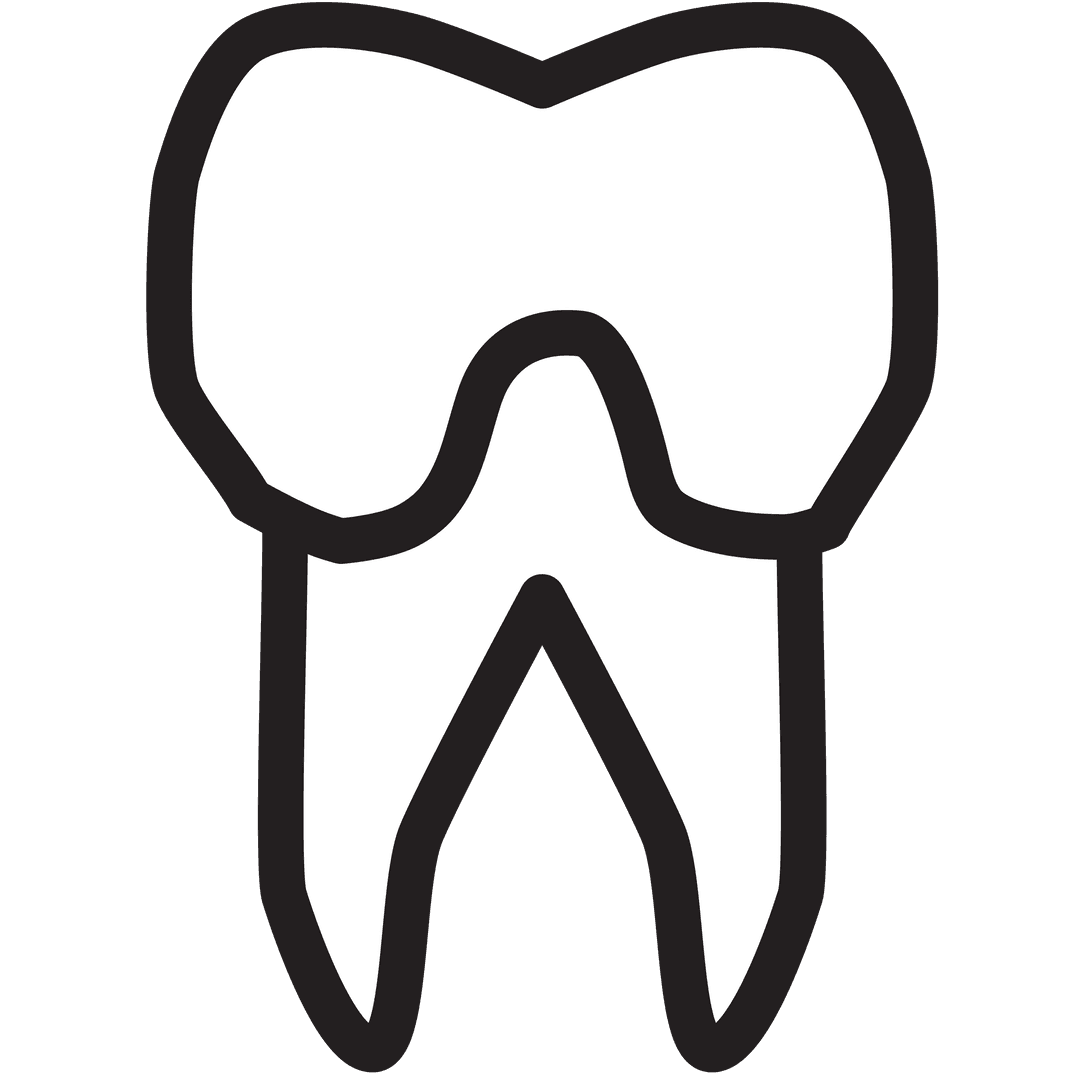 Molar Tooth Dental Outline on Transparent Background