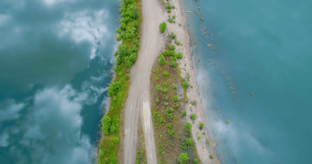 Aerial View of Transparent Lake with Gum Tree Reflection