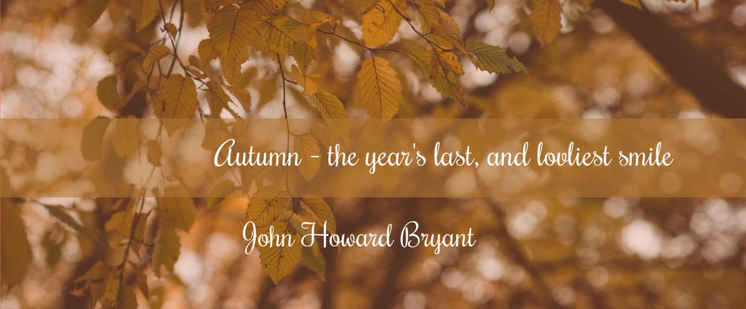 Beautiful Autumn Quote on Foliage Background Template - Download Free Stock Templates Pikwizard.com