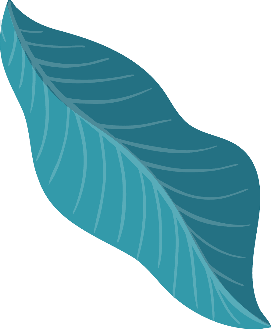 Minimalist Teal Turquoise Leaf Illustration on Transparent Background