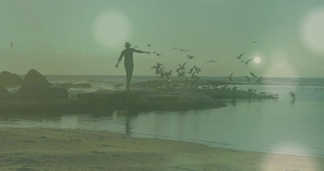 Man Walking on Beach with Birds During Sunset