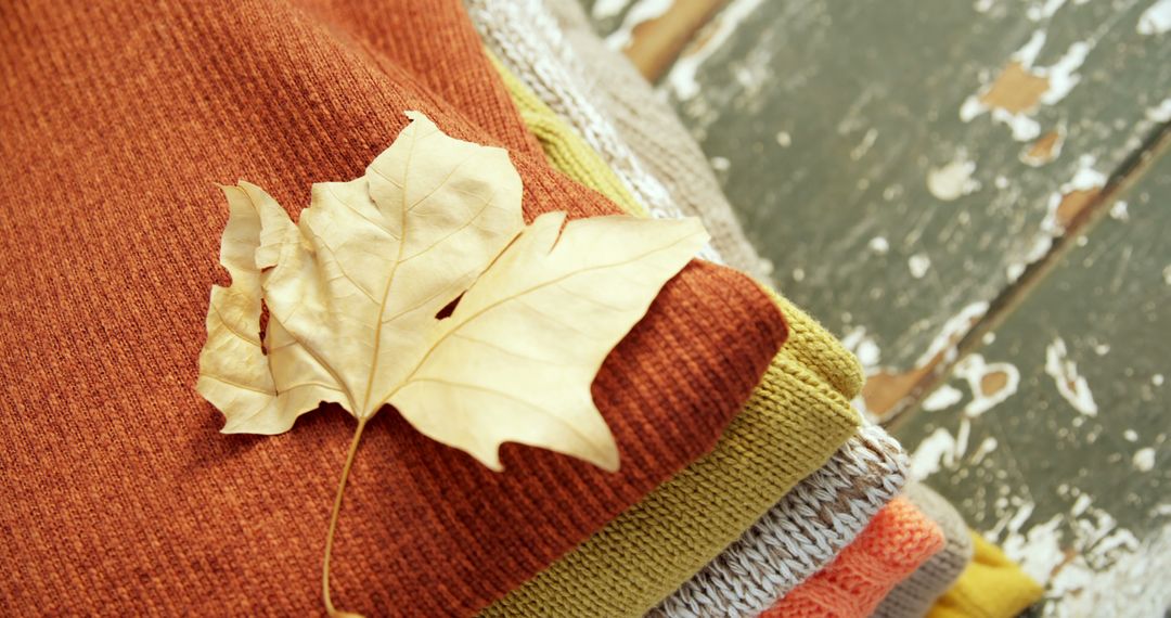 Autumn Leaf on Cozy Warm Blankets - Free Images, Stock Photos and Pictures on Pikwizard.com