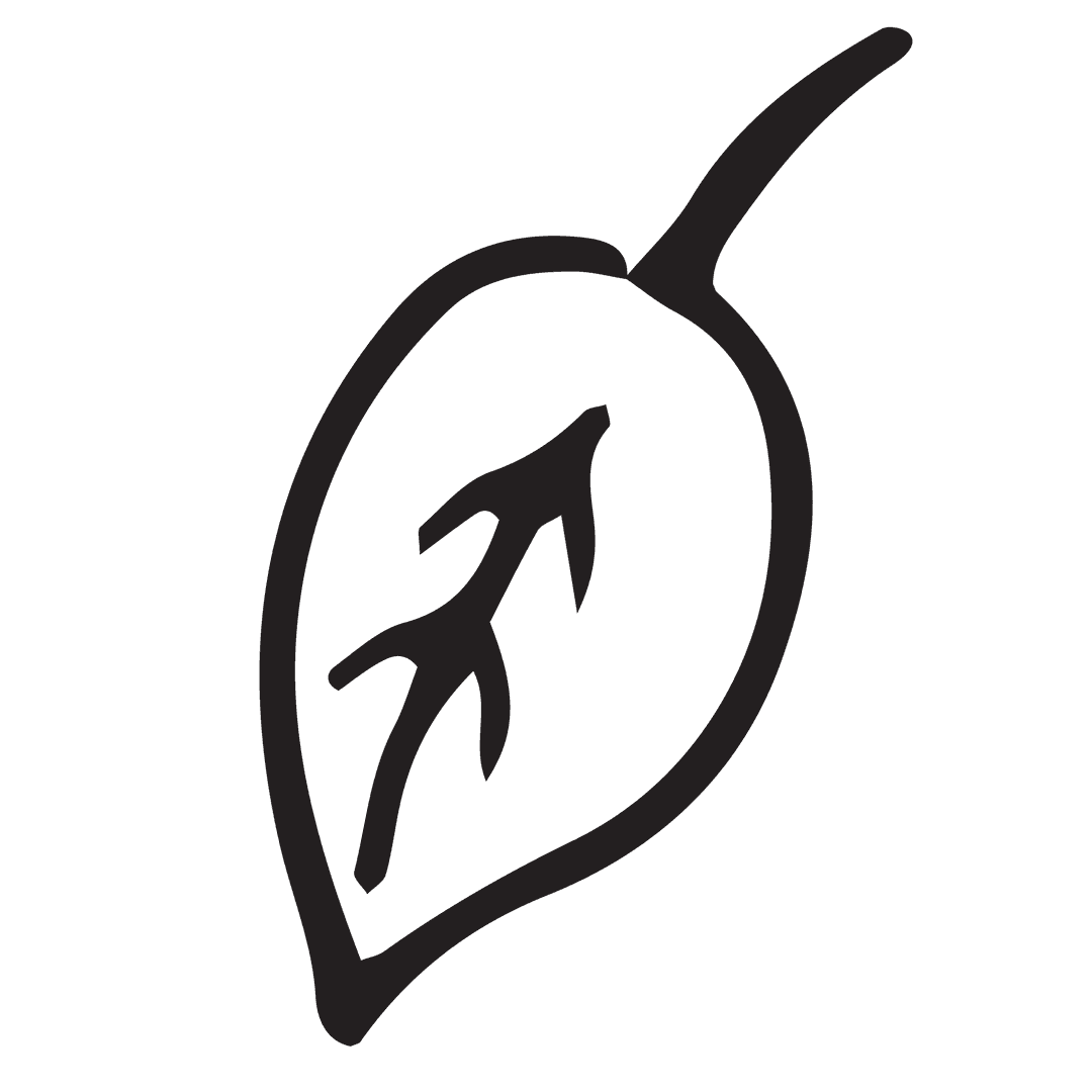 Transparent Leaf Silhouette Illustration with Simple Lines