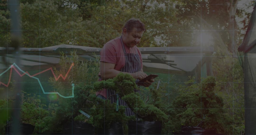 Gardener Using Tablet Technology in Bonsai Greenhouse