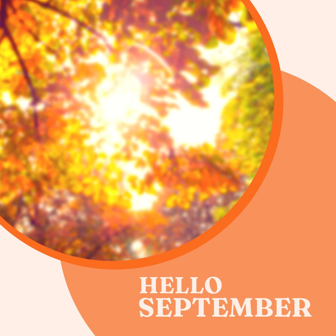 Hello September Text with Autumn Trees in Sunlight - Download Free Stock Templates Pikwizard.com