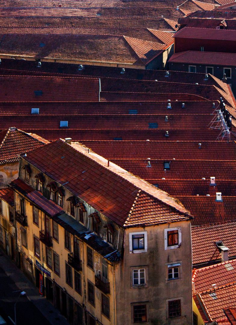 Sunlit Rooftops of Historic Red Tiled Building