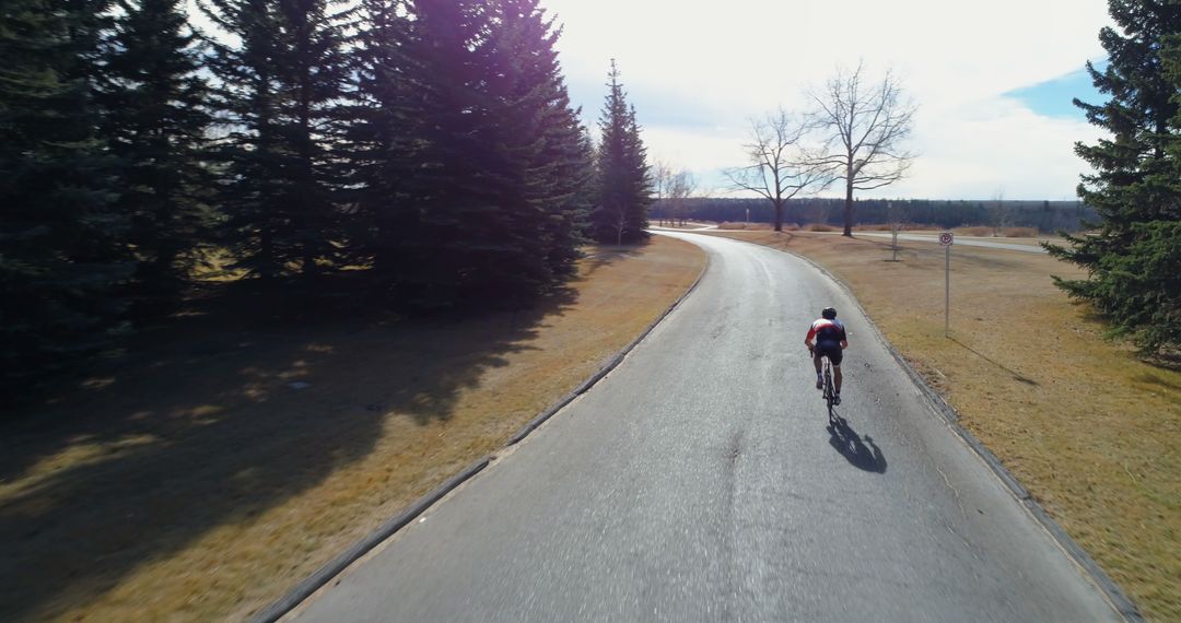 Lone Cyclist on Serene Road through Pine Forest - Free Images, Stock Photos and Pictures on Pikwizard.com