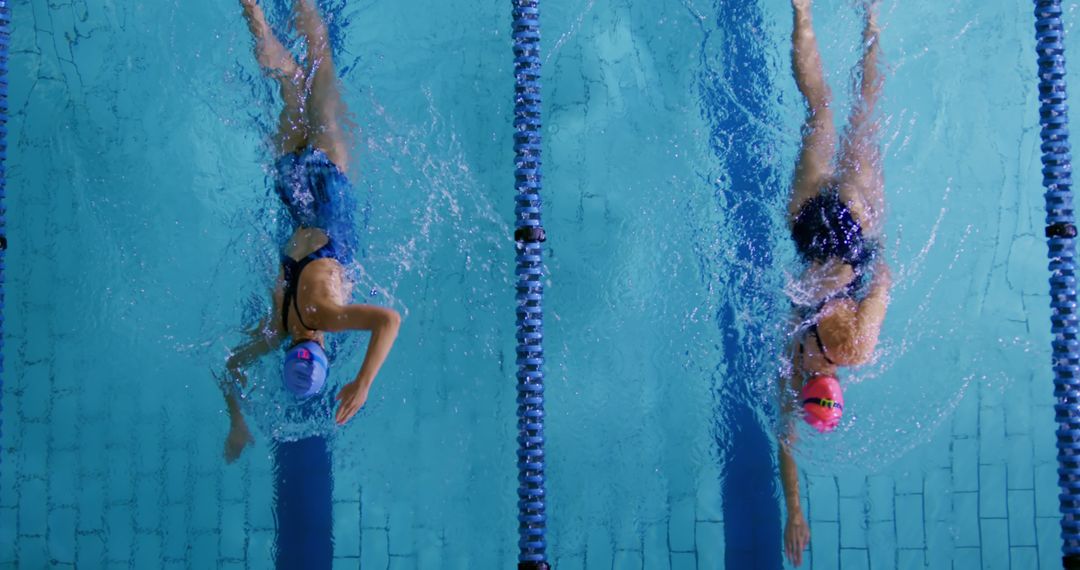 Swimmers Competing in a Pool Race - Top View - Free Images, Stock Photos and Pictures on Pikwizard.com