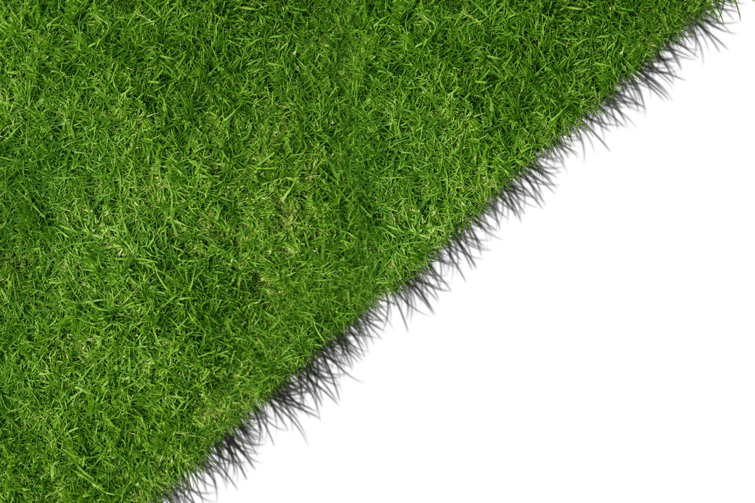 Bright Green Grass with Transparent Background for Nature Designs