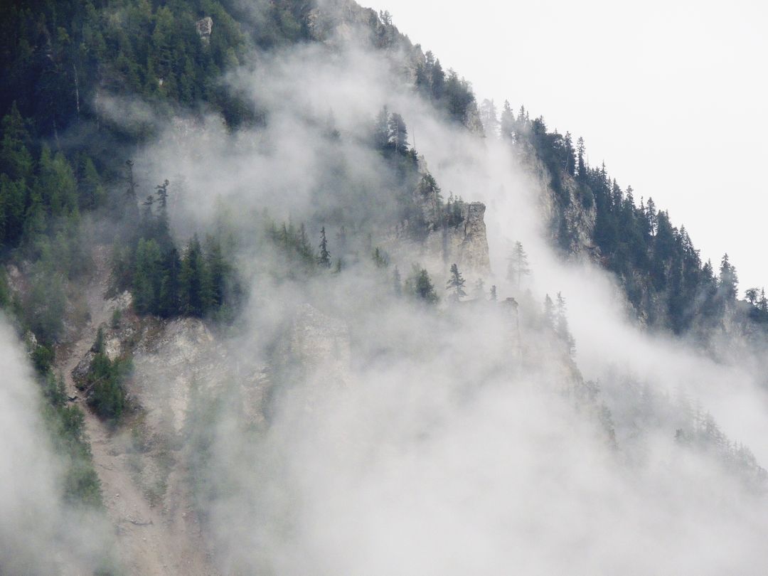 Misty Mountain Peak Shrouded in Dense Fog and Pine Trees - Free Images, Stock Photos and Pictures on Pikwizard.com