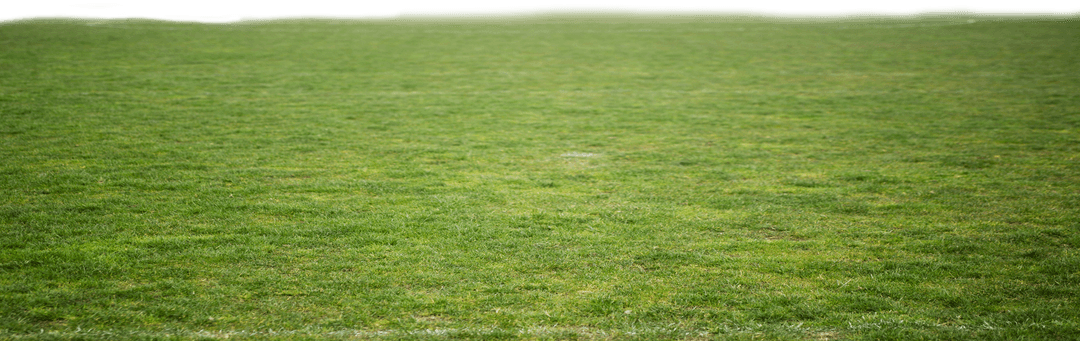 Green Grass Field on Transparent Background for Stadium Design