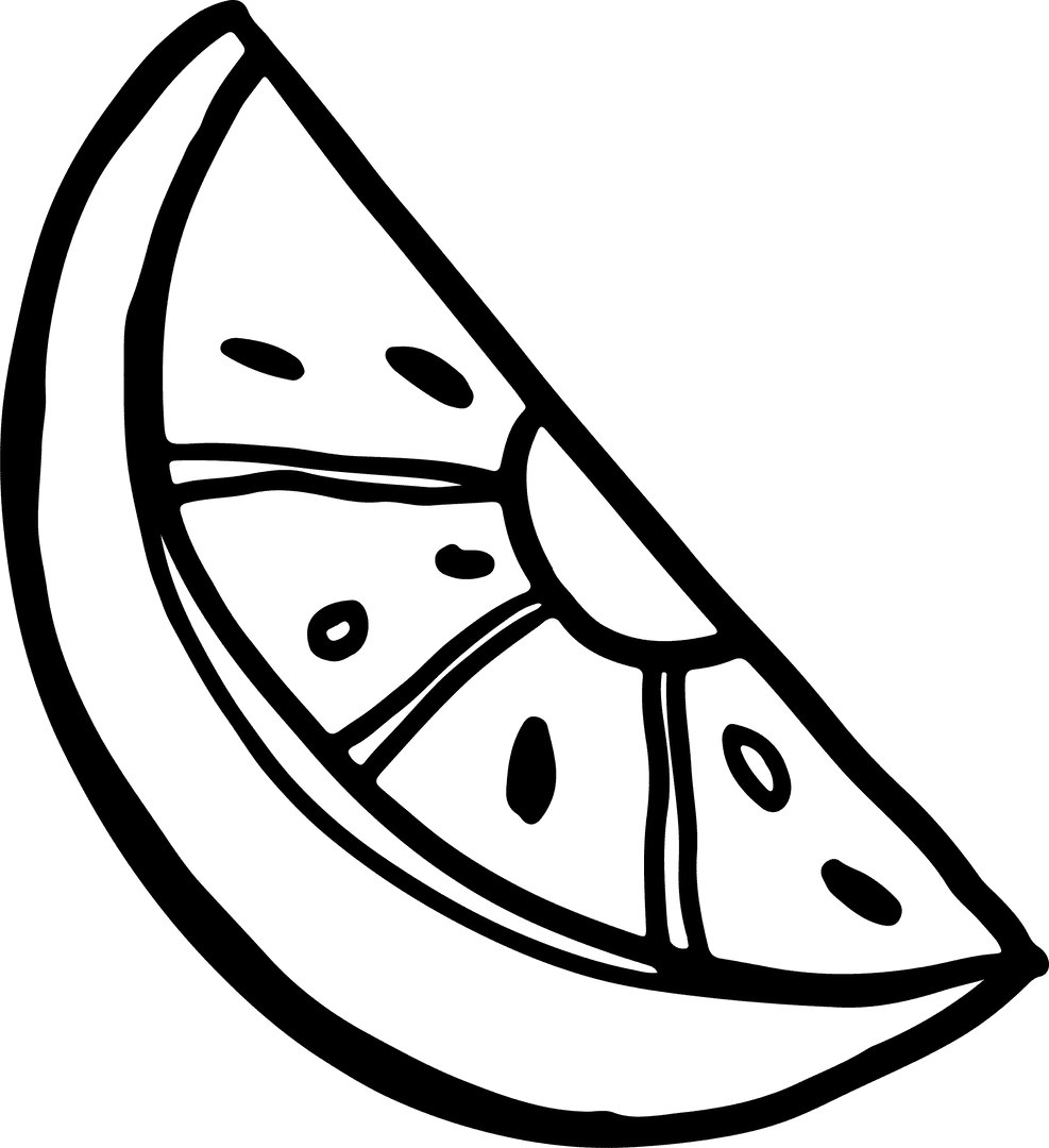 Transparent Citrus Wedge Illustration in Black Outline