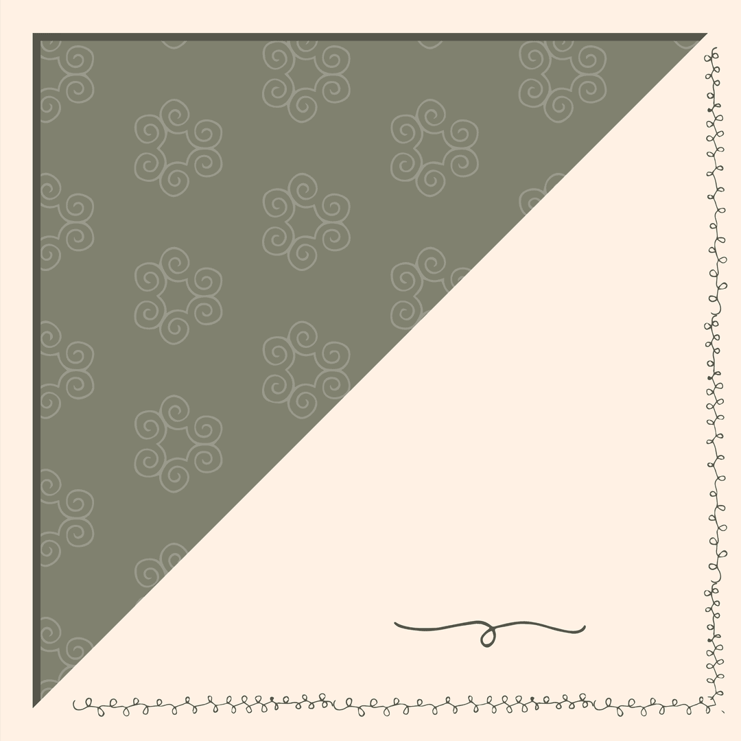 Decorative Transparent Duo-Tone Pattern with Elegant Borders