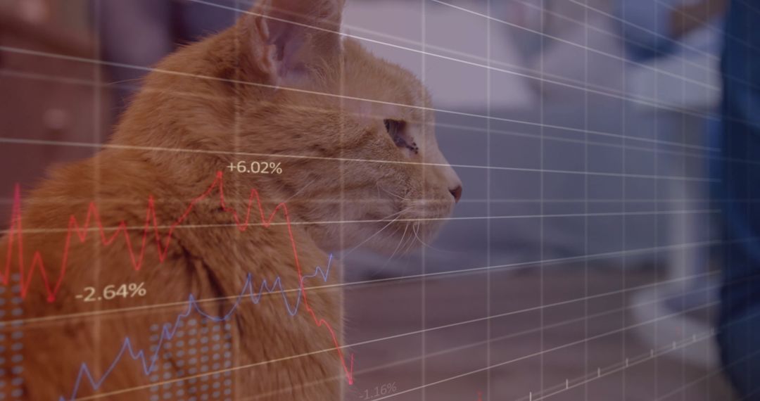 Ginger Cat with Superimposed Stock Charts in Home Setting
