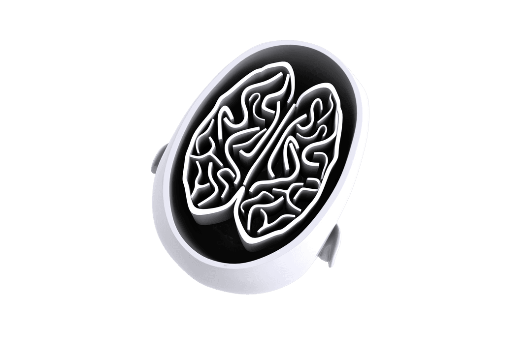 Transparent Cross Section Digital Brain Anatomy Illustration