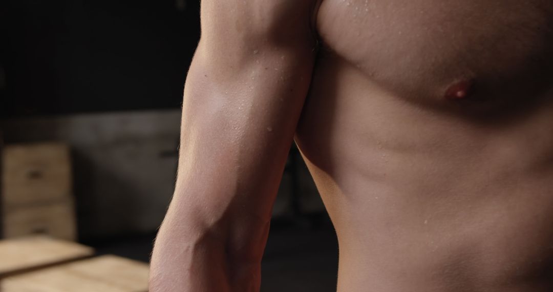 Shirtless Athletic Man Lifting Weights at Gym for Workout Routine