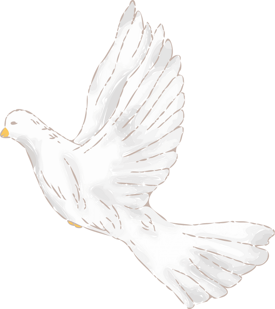 White Dove Flying Against Transparent Background with Sketchy Style