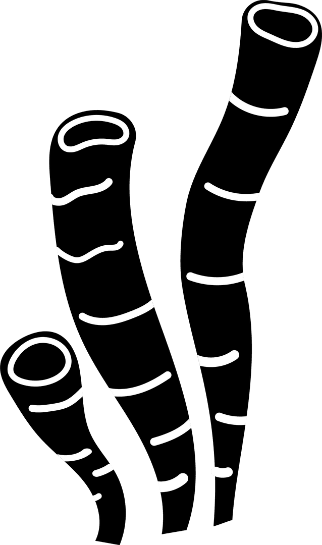 Abstract Minimalist Black Tubes with White Bands on Transparent Background