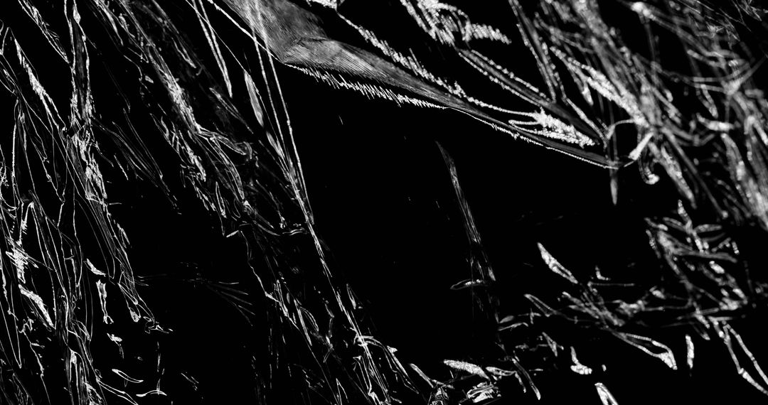 Dynamic Abstract Shapes with Black Background