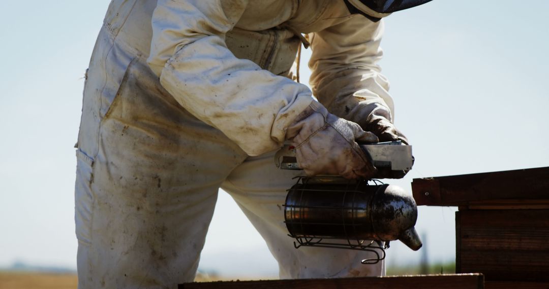 Beekeeper Using Smoker at Beehive in Apiary