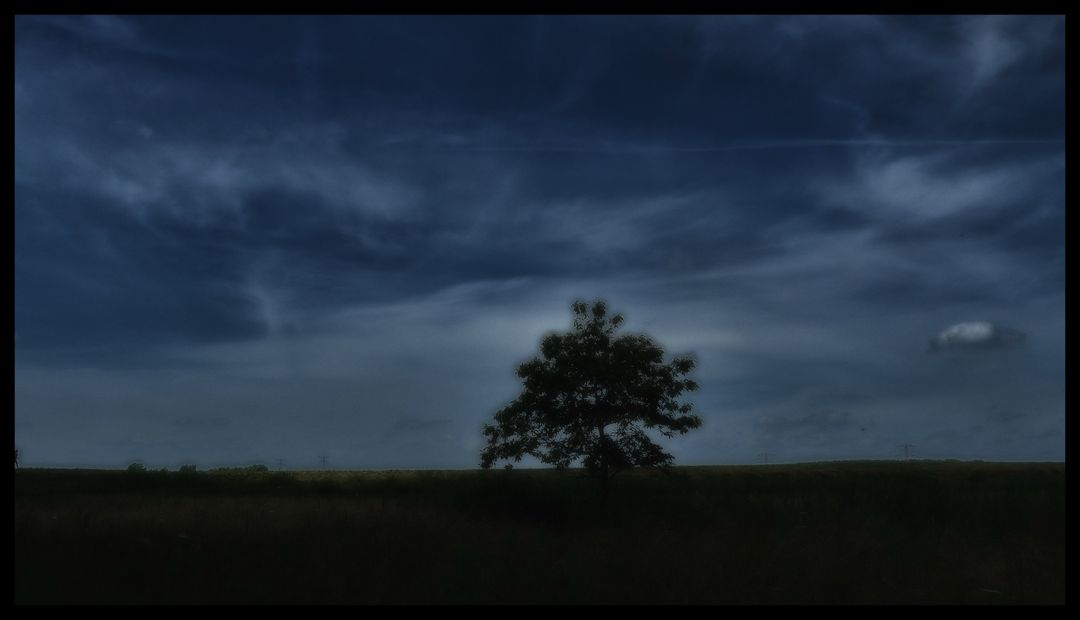 Lonely Tree in Meadow Under Twilit Sky - Free Images, Stock Photos and Pictures on Pikwizard.com