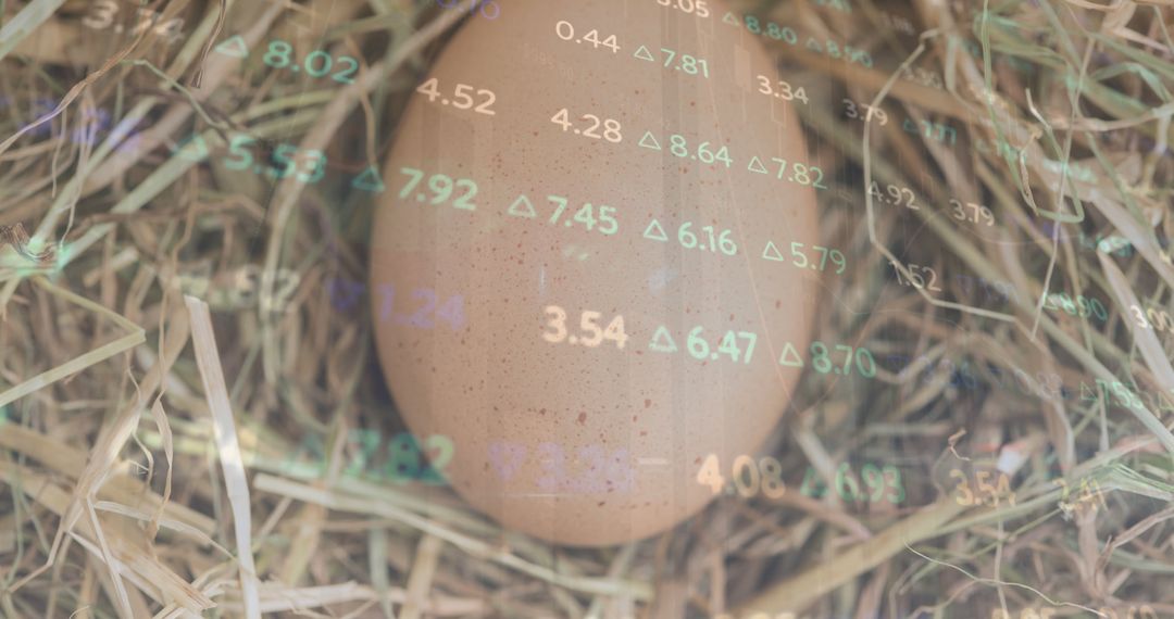Egg in Nest with Digital Finance Overlay