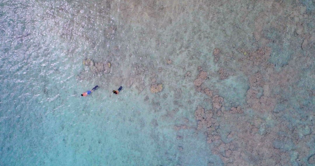 Aerial View of People Snorkeling Over Coral Reef in Clear Blue Water - Free Images, Stock Photos and Pictures on Pikwizard.com