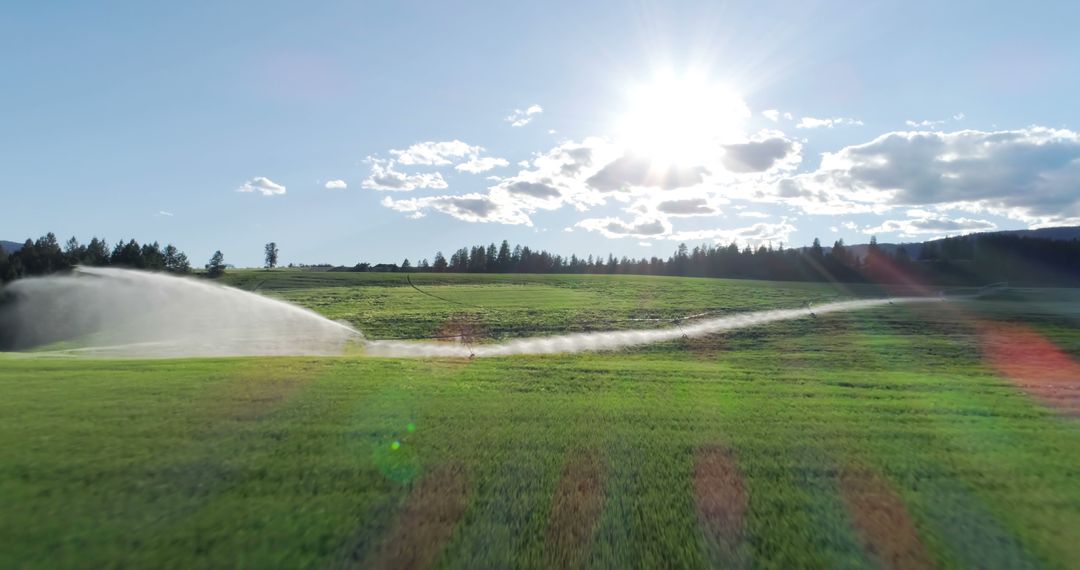 Modern Farming Sprinkler Irrigating Green Field in Bright Sunlight