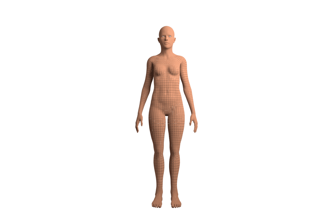 Transparent Female Model Illustrating Human Geometry