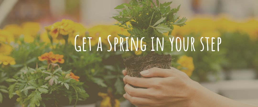 Springtime Growth and Renewal with Blooming Flowers