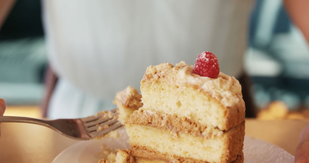 Layered Cake Topped with Raspberry Being Enjoyed in Cafe