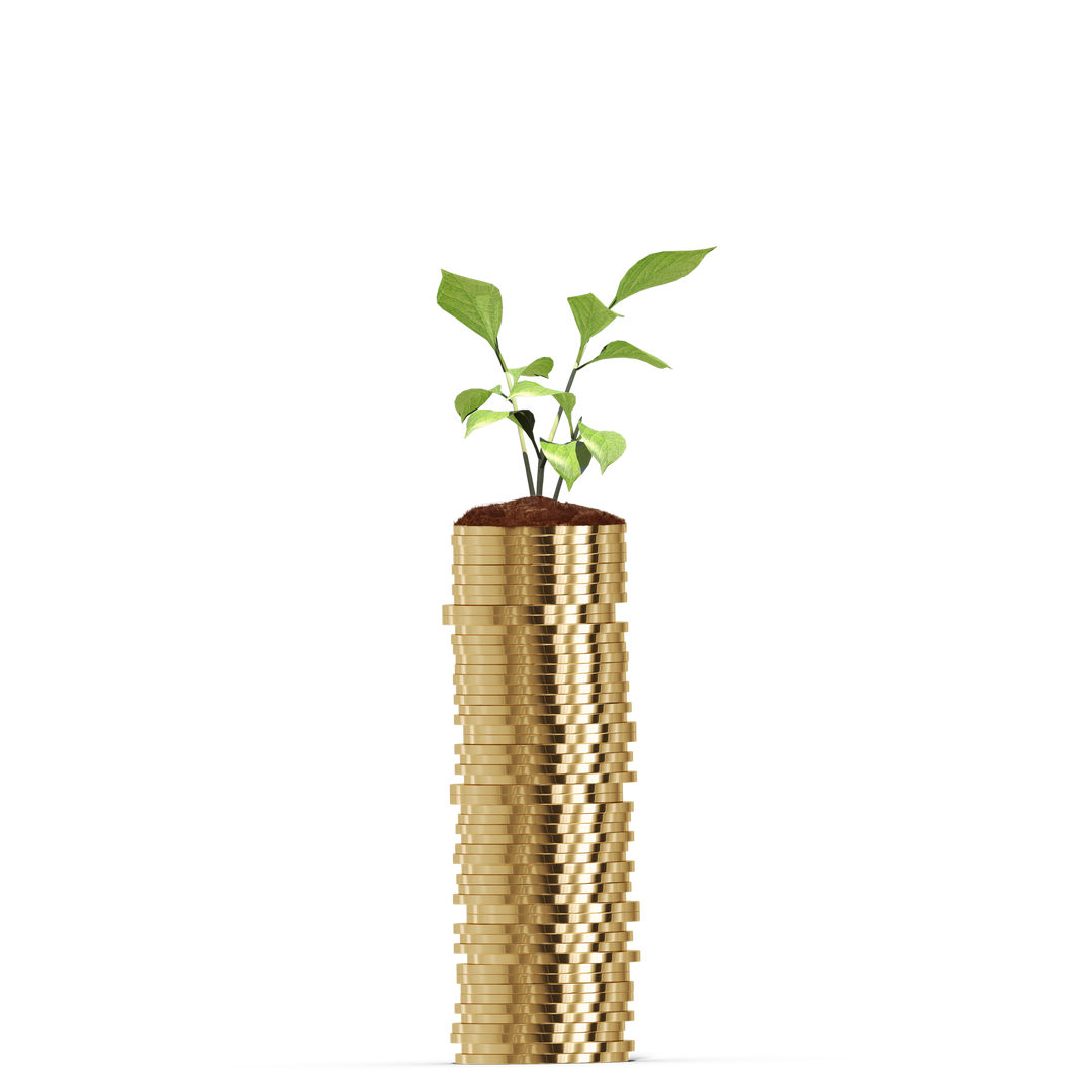 Transparent Coins Stack with Growing Plant - Download Free Stock Images Pikwizard.com