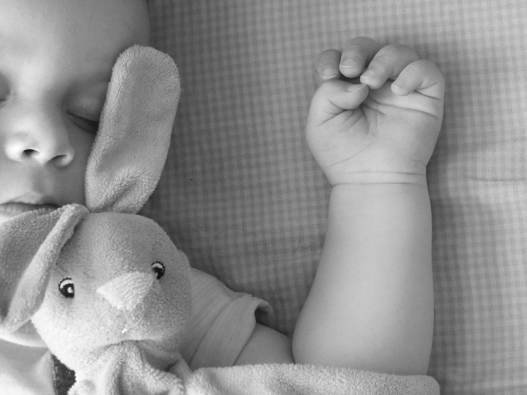 Close up of Sleeping Baby with Toy Bunny - Free Images, Stock Photos and Pictures on Pikwizard.com