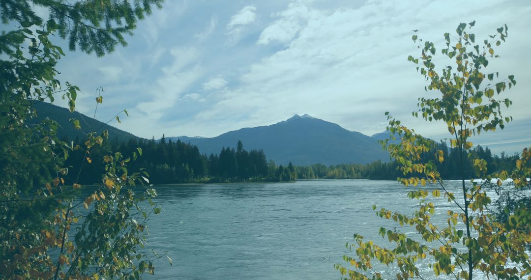 Peaceful Mountain River with Sunlit Trees and Reflections
