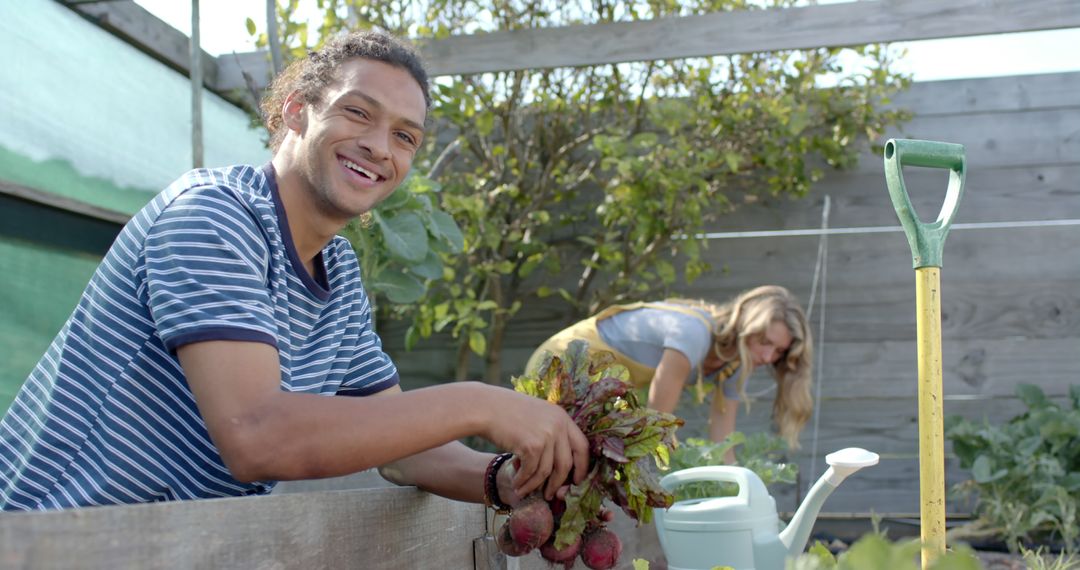 Smiling Young Man Holding Freshly Harvested Beetroots in Community Garden - Free Images, Stock Photos and Pictures on Pikwizard.com