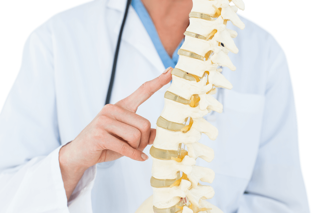 Transparent Background Doctor Illustrating Vertebrae Anatomy