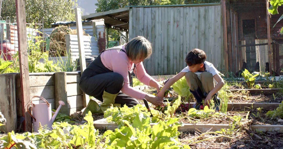 Mother and Son Working Together in Garden Focused on Planting Vegetables - Free Images, Stock Photos and Pictures on Pikwizard.com