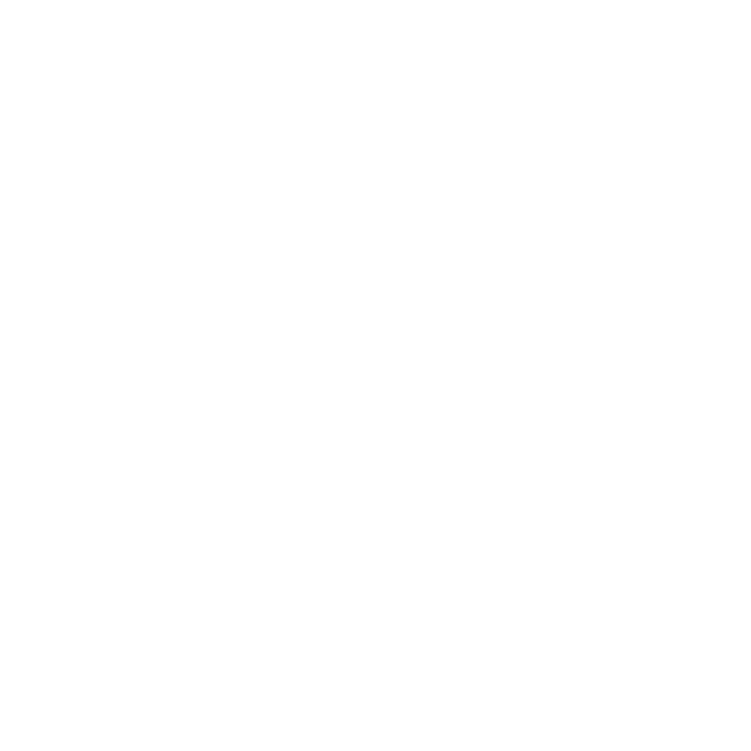 White Globe Outline Icon on Transparent Background