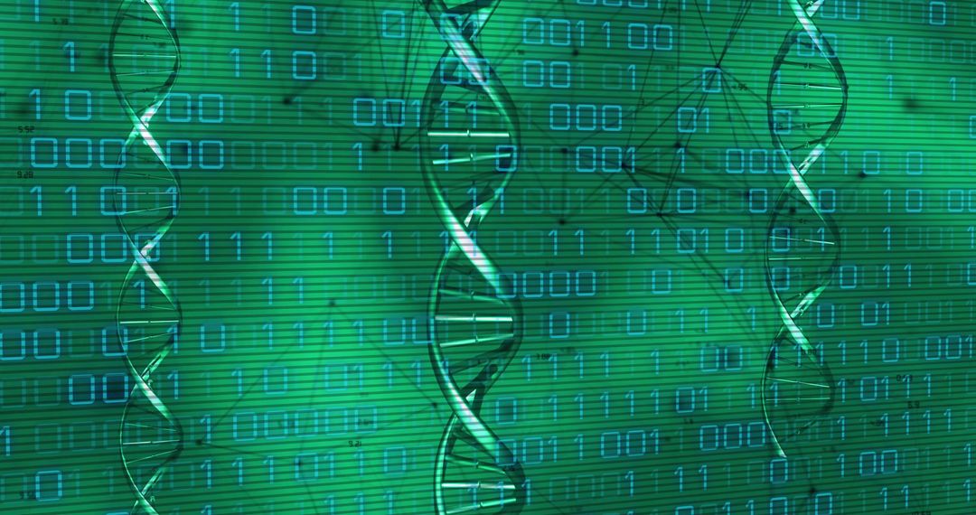 Floating DNA Helix in Binary Code Environment For Biotechnology Insight