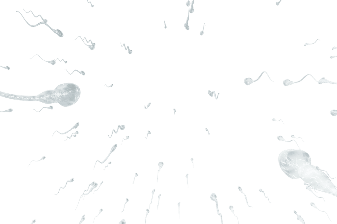 Transparent Sperm Zooming Towards Center on Clear Background