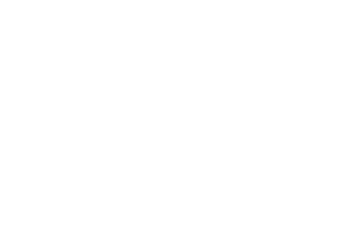 Transparent Insurance Text with Silhouette Overlay Design
