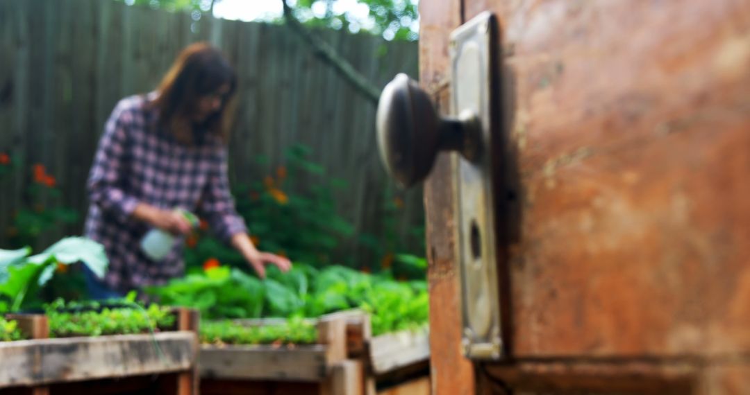 Person Gardening in Backyard with Wooden Fence and Raised Bed - Free Images, Stock Photos and Pictures on Pikwizard.com