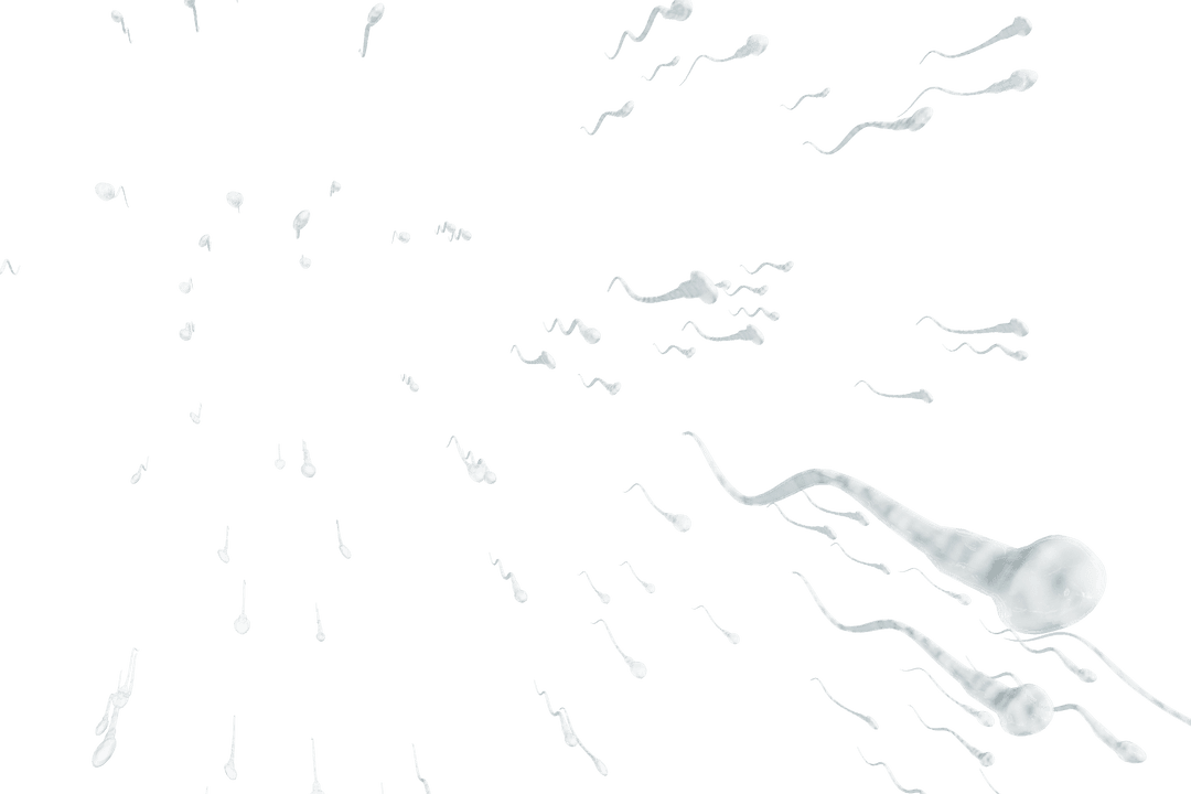 Transparent Sperm Cells Swimming in Abstract Motion