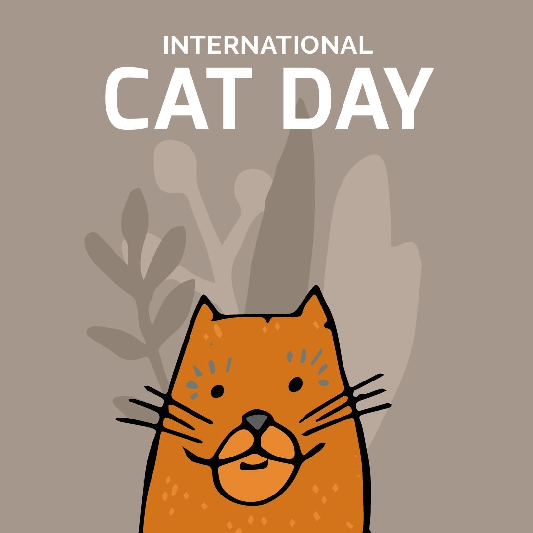 Image of international cat day and orange cat on grey background - Download Free Stock Templates Pikwizard.com