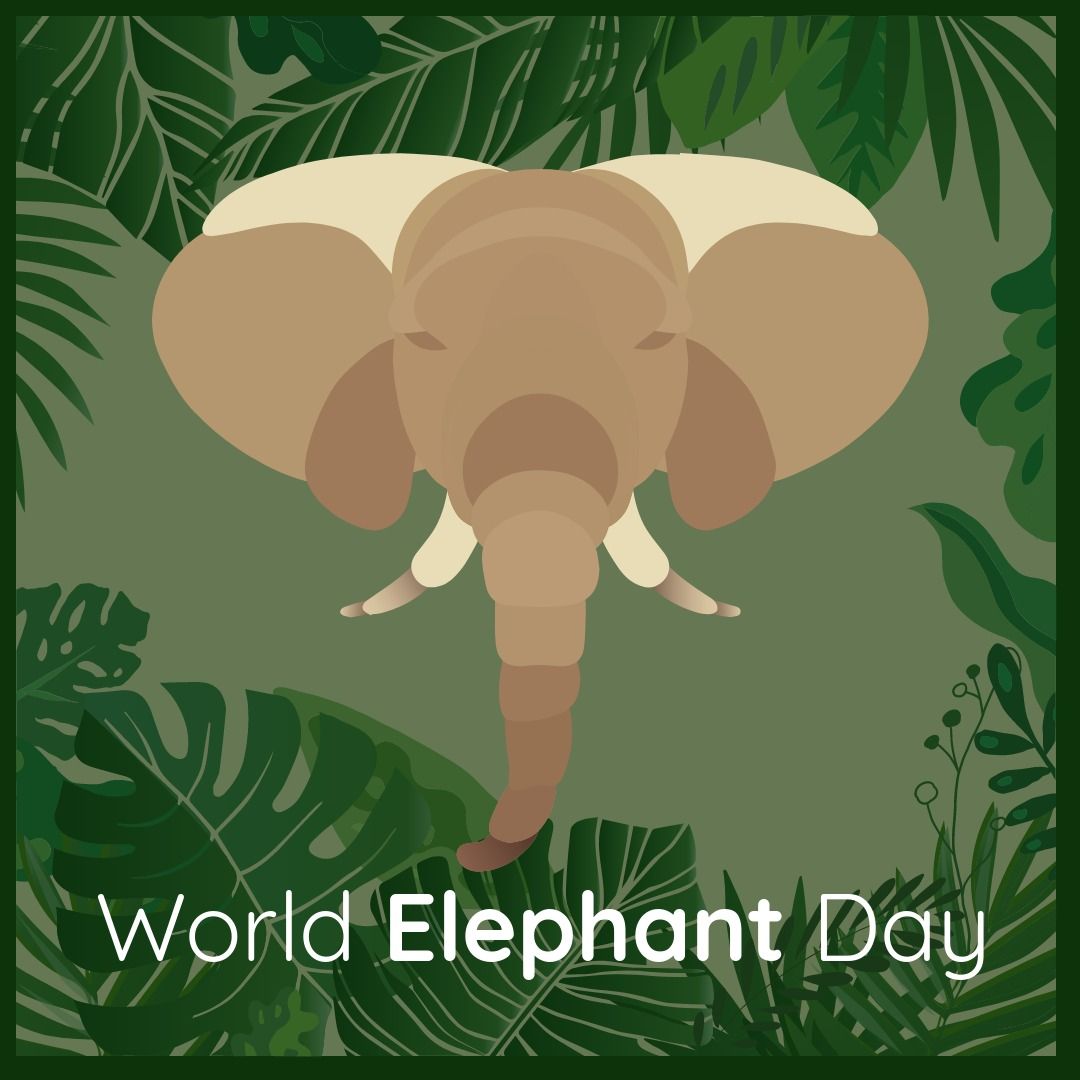 Vector image of elephant with various leaves and world elephant day text - Download Free Stock Templates Pikwizard.com