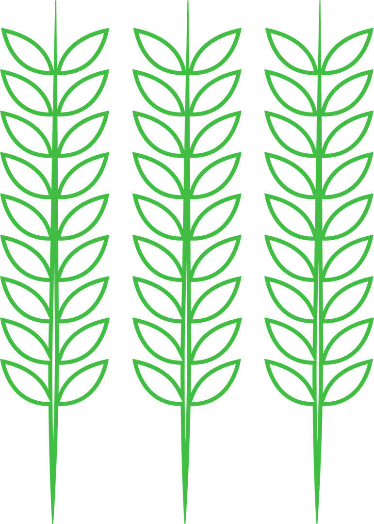 Green Twigs with Leaves Pattern on Transparent Background