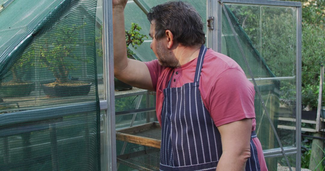 Middle-aged man tending greenhouse in striped apron - Free Images, Stock Photos and Pictures on Pikwizard.com