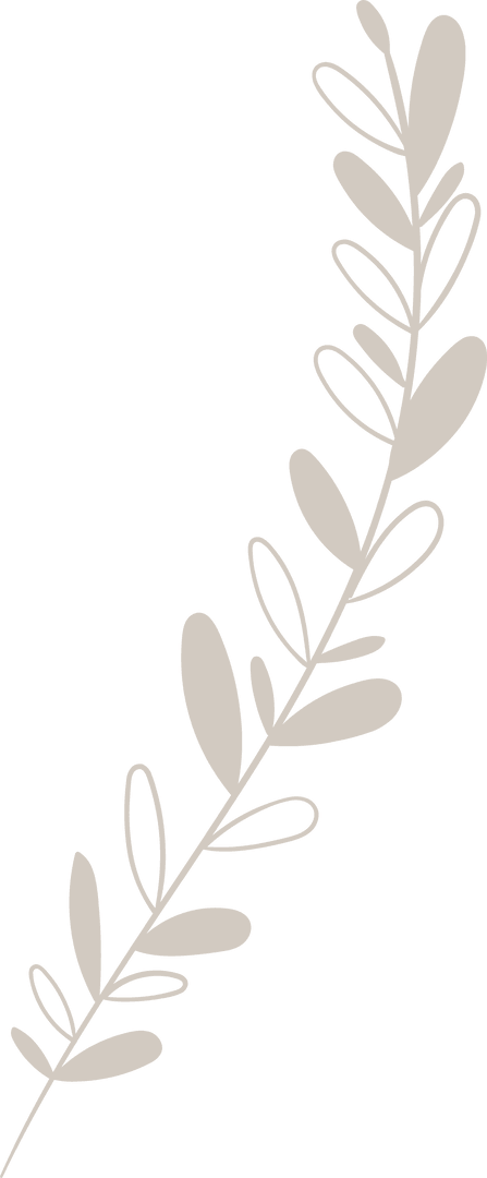 Botanical Branch with Oval Leaves on Transparent Background