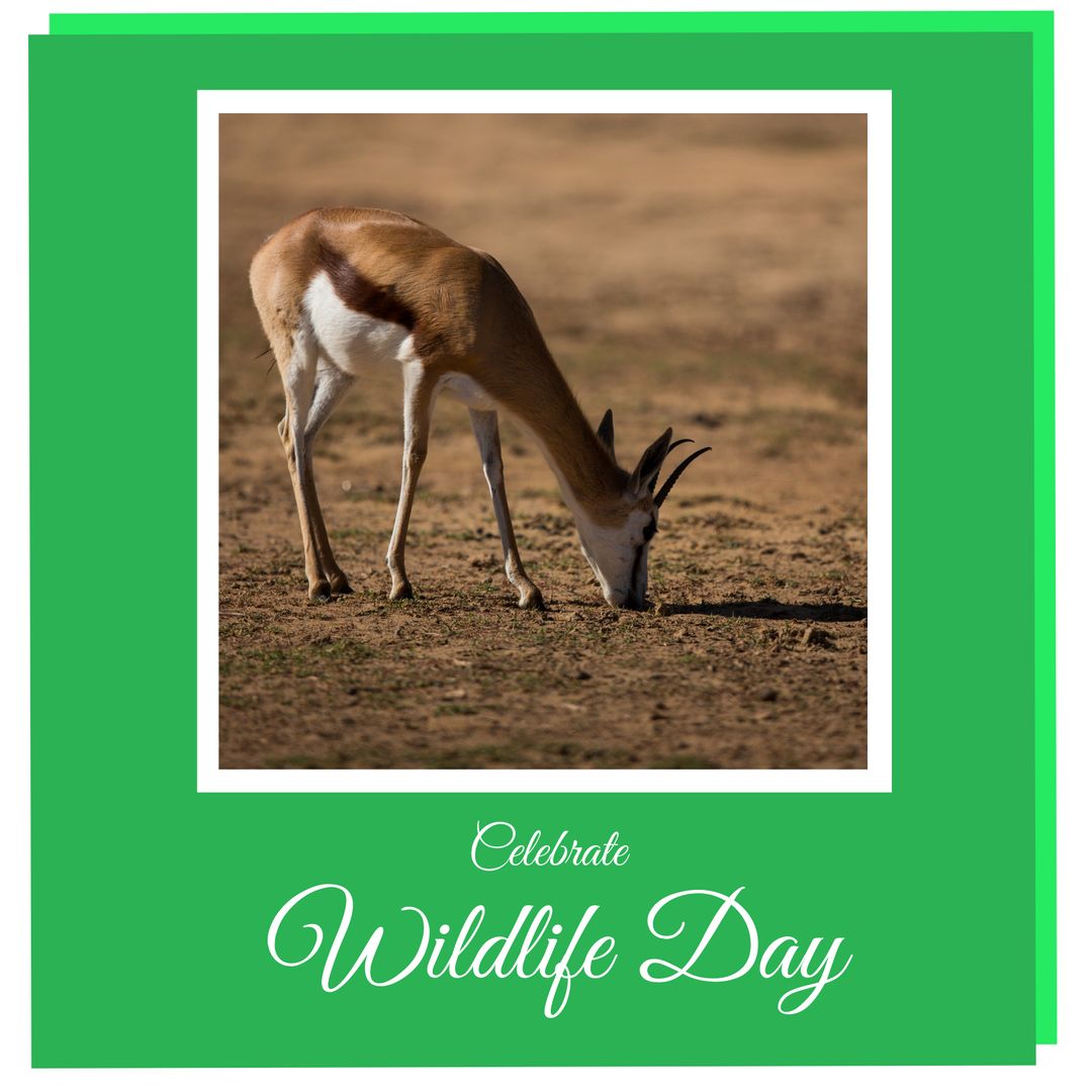 National Wildlife Day Banner Featuring Grazing Deer